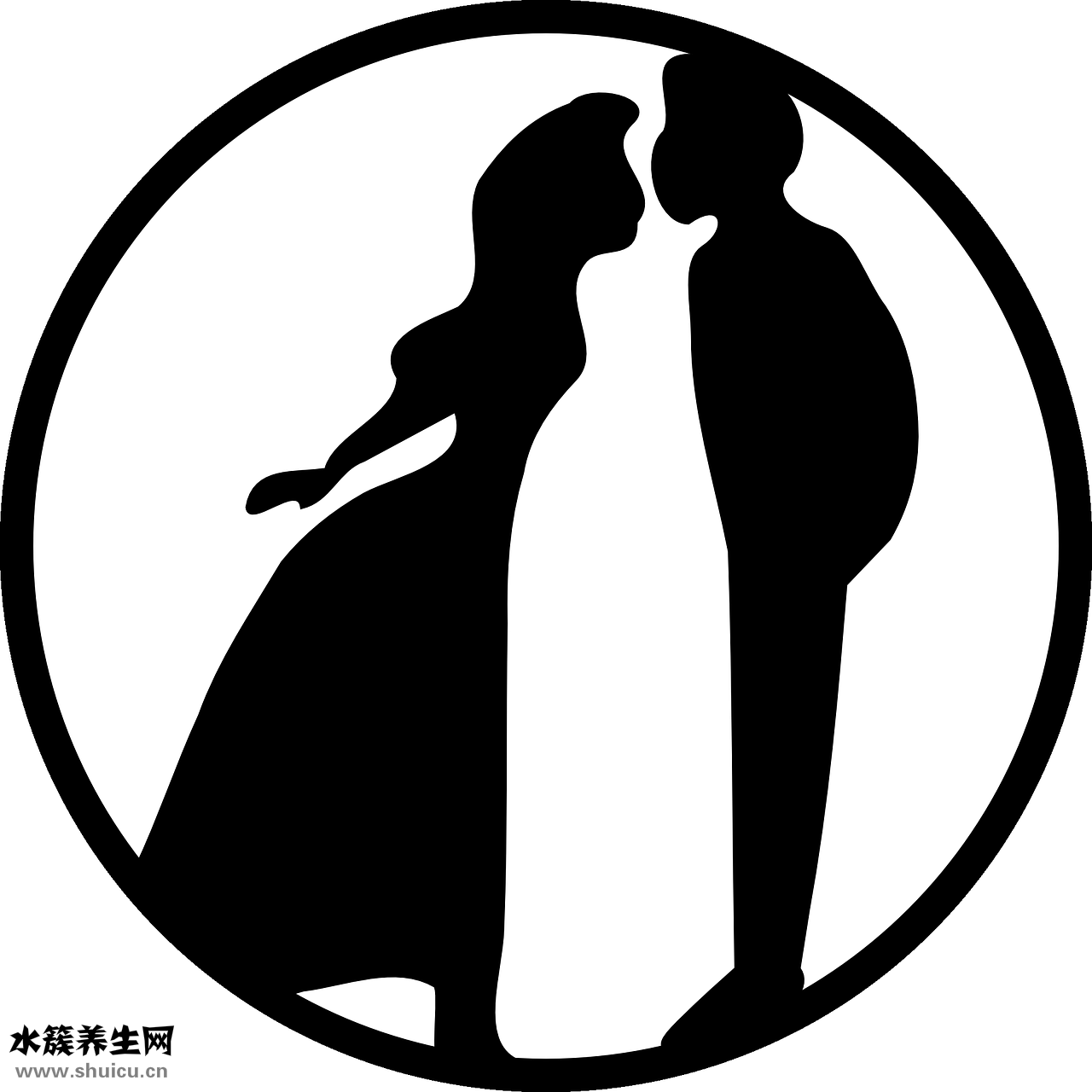 怎么查質粒序列