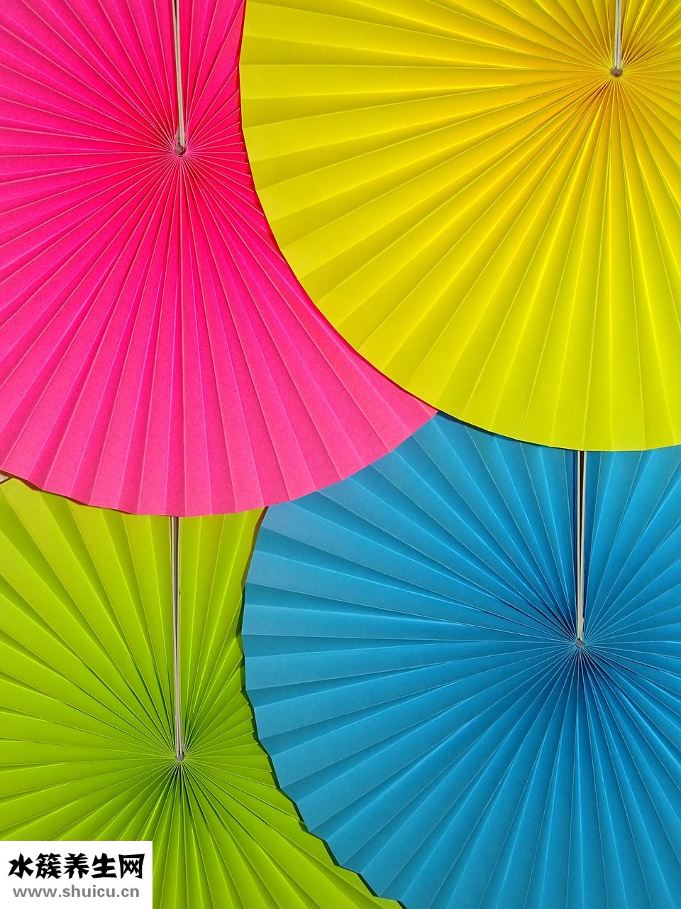 酸奶菌種怎么養殖