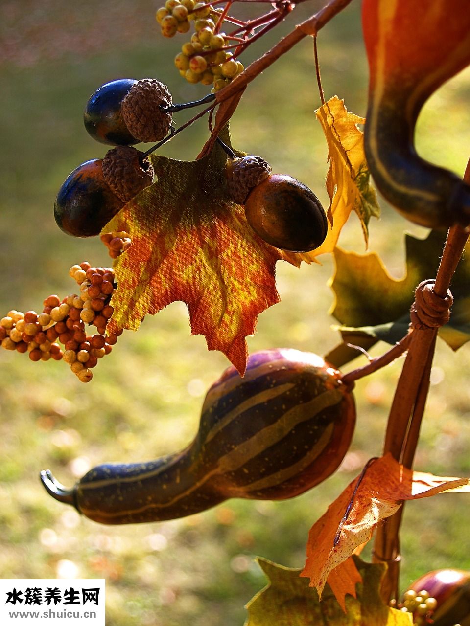 喉嚨長小結怎么辦