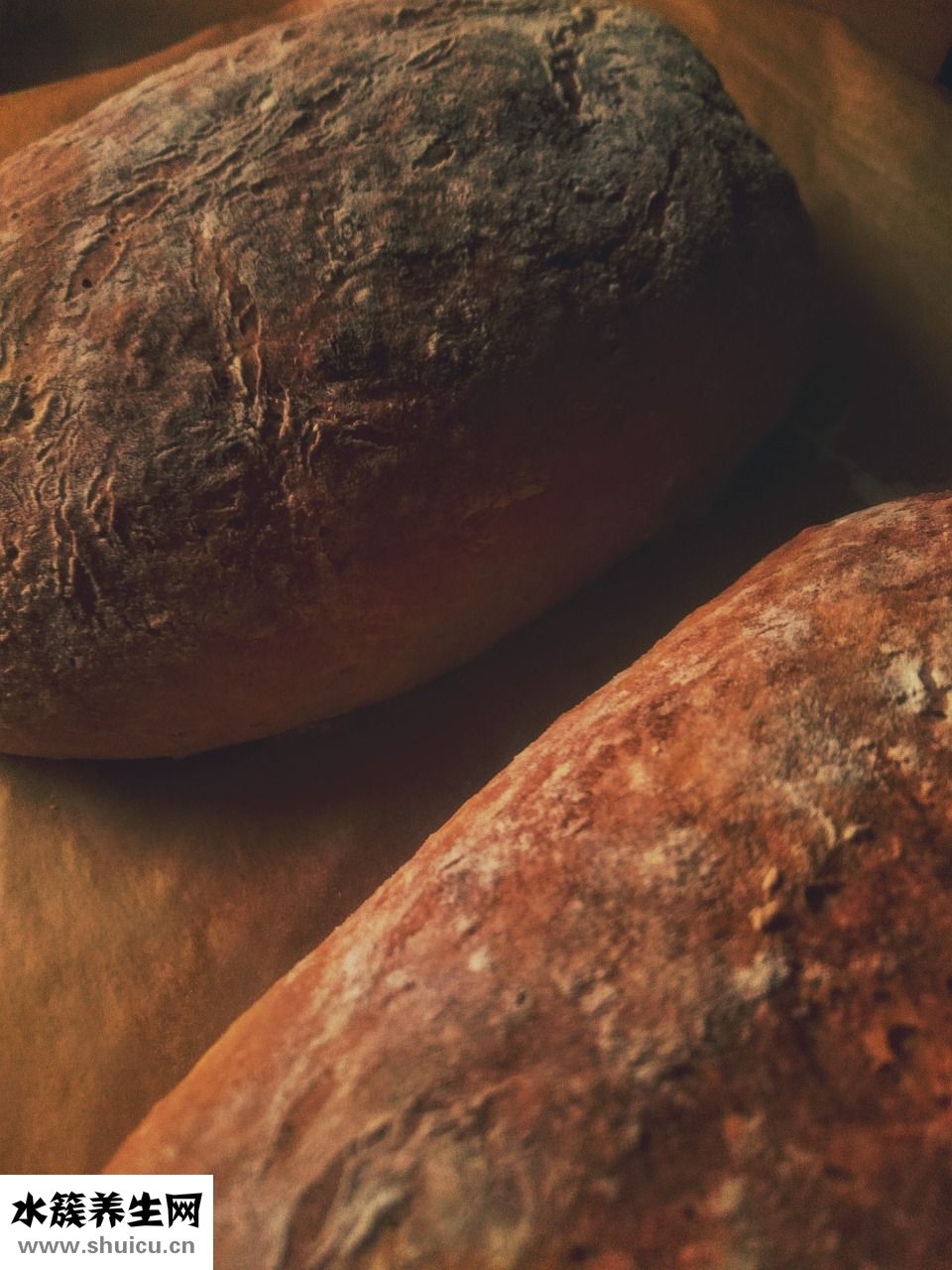 紅棗蛋糕怎么做