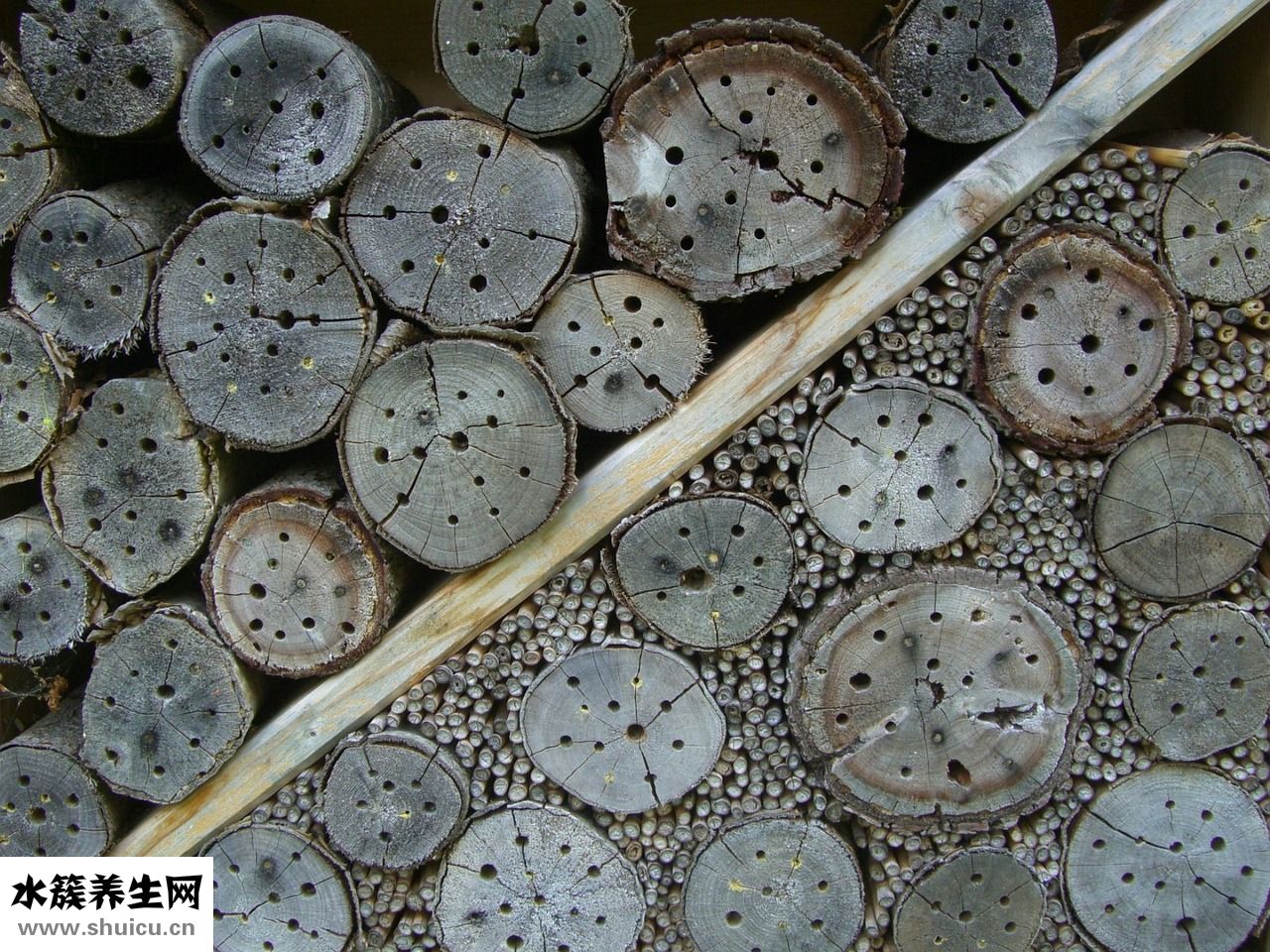 看到女生胸罩怎么辦