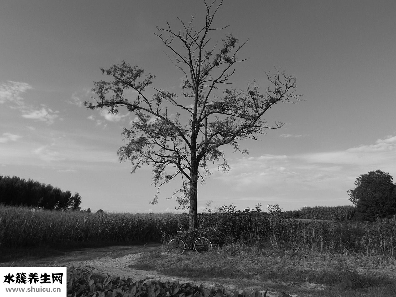 小關節錯位怎么治