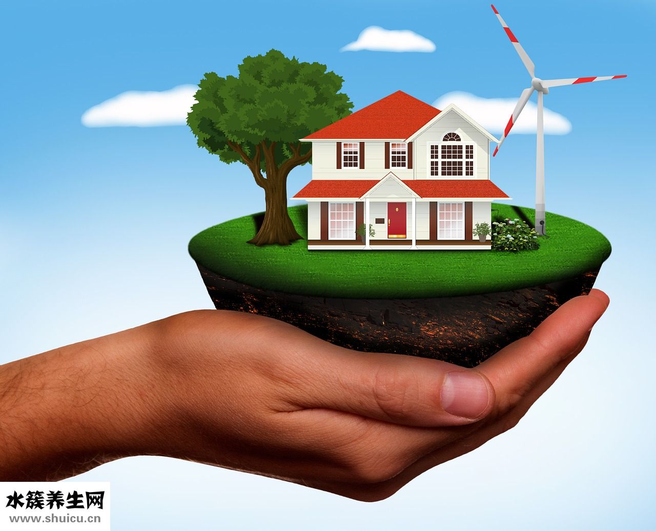 怎么收集絲瓜水