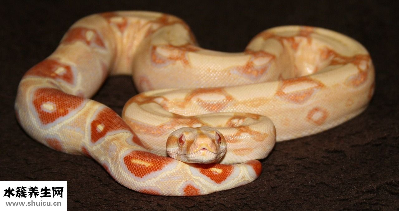 產后大出血怎么辦