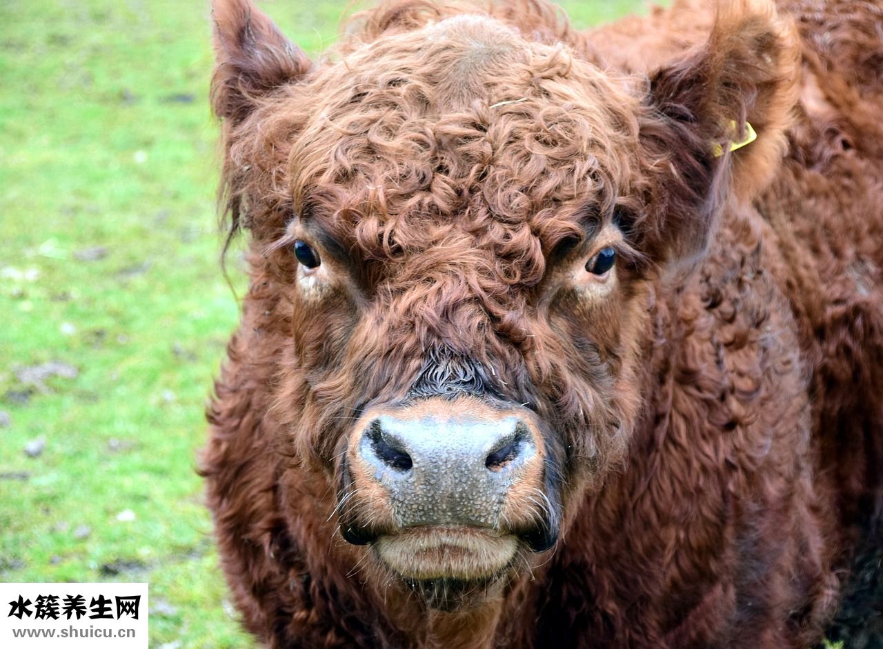 手上長毛怎么回事
