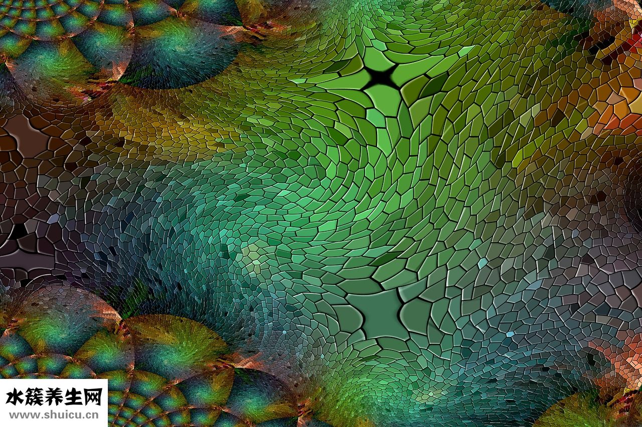 出現幻聽幻想怎么治