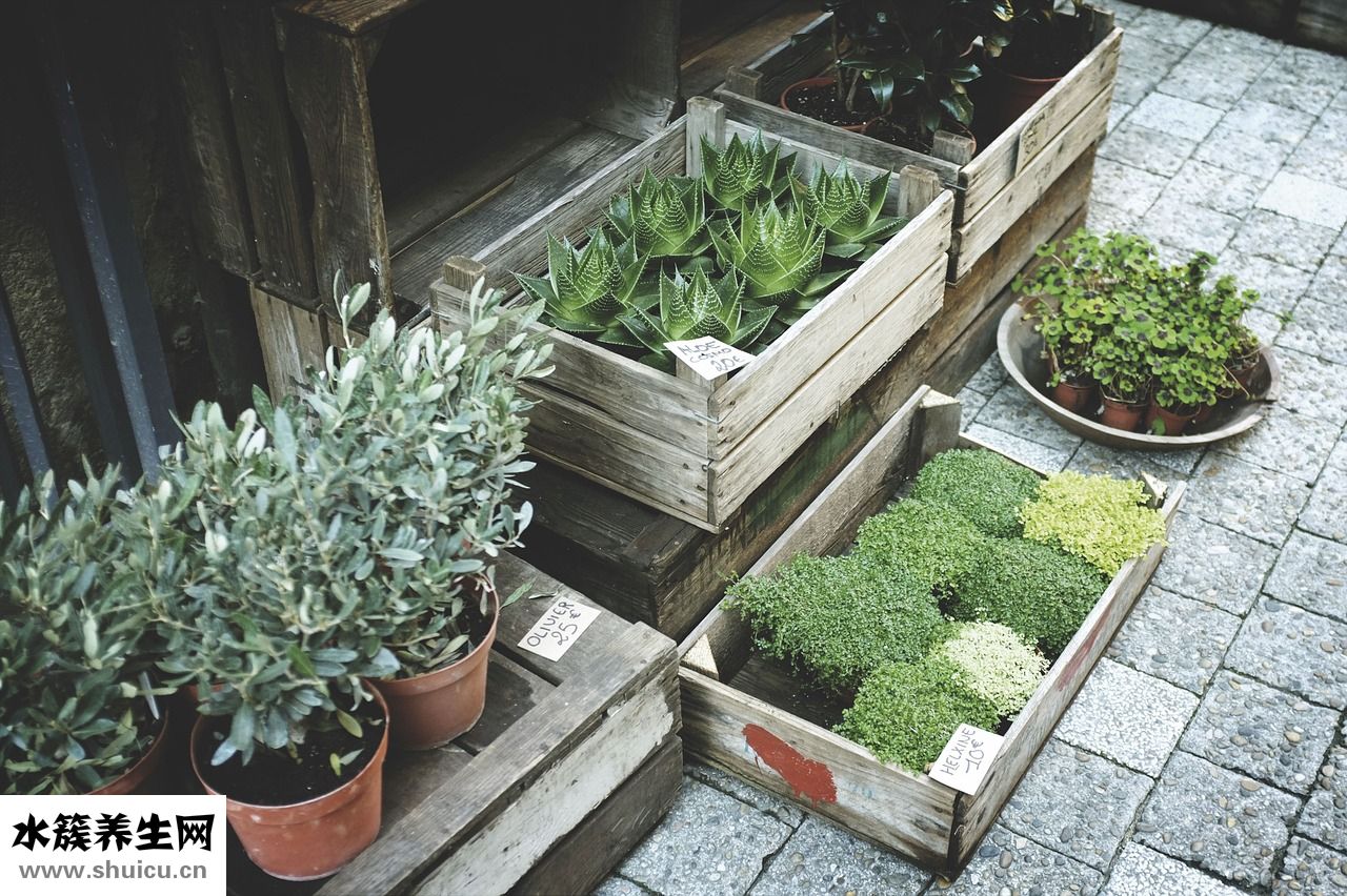 頑固脂肪怎么減