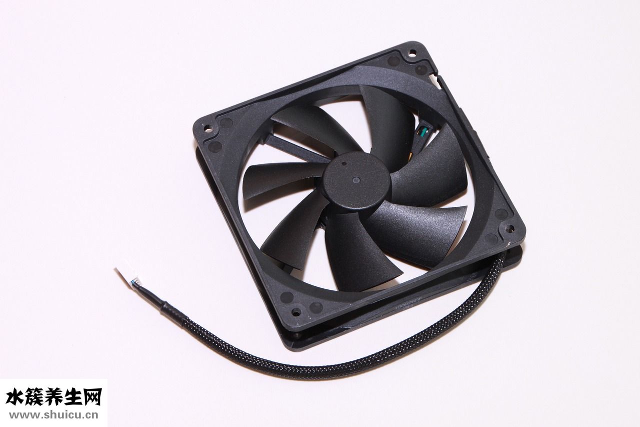 狗膽小怕人怎么辦