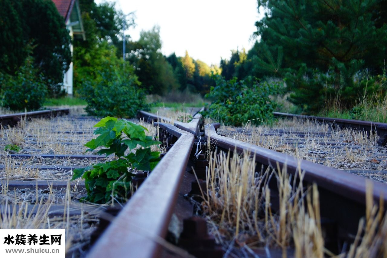 怎么鍛煉大腿的肌肉