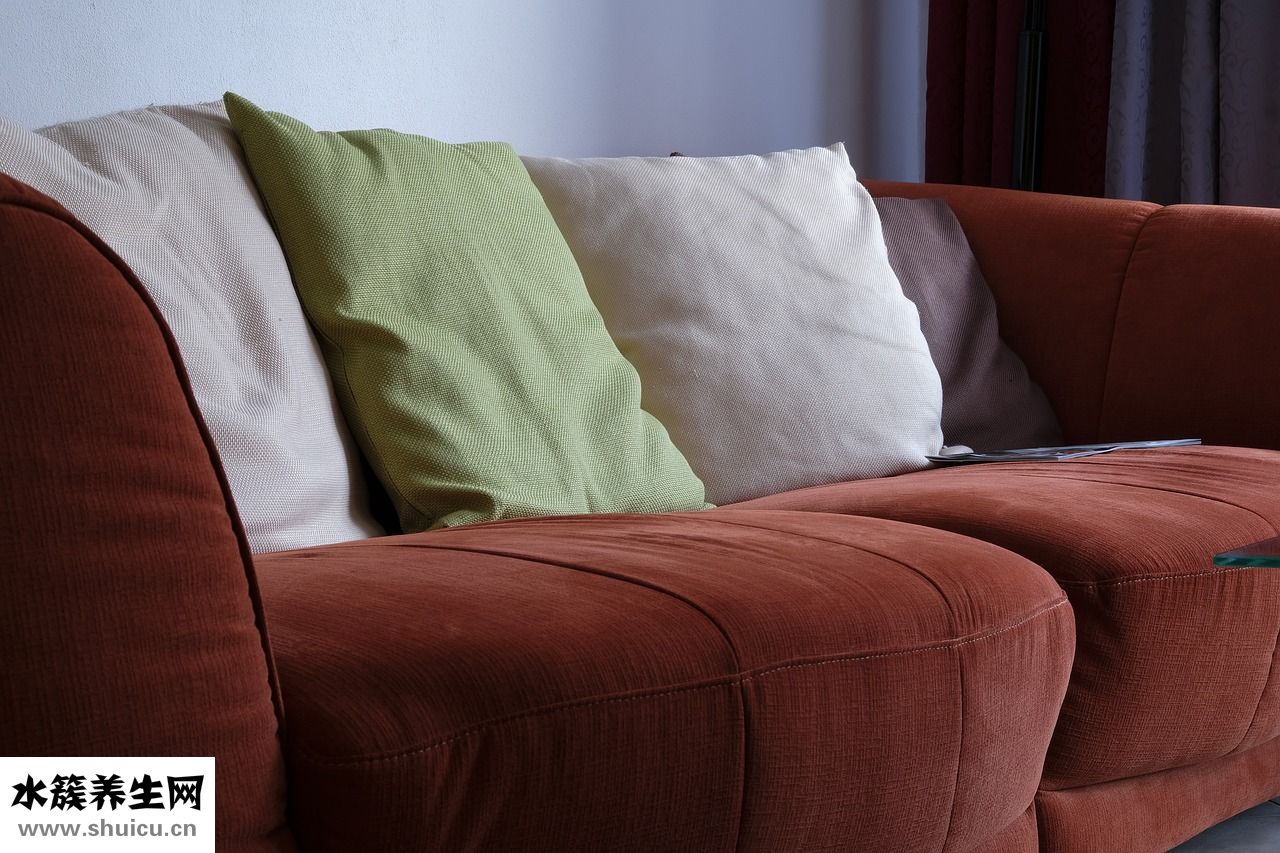 決明子枕頭怎么選