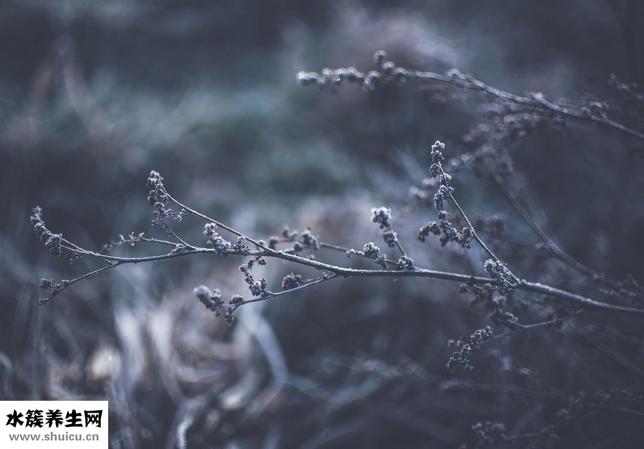 眼睛長(zhǎng)怎么畫眼線