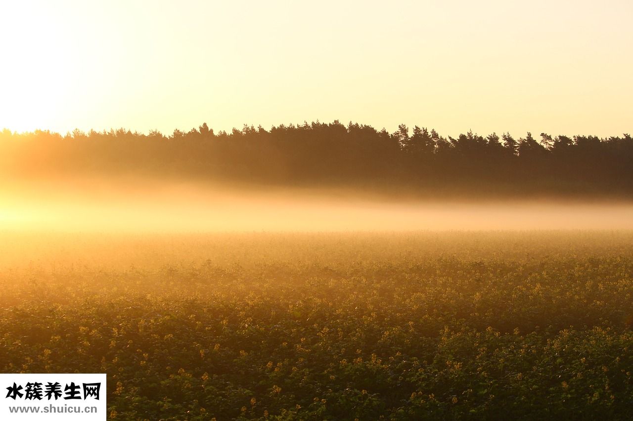 地榴怎么腌好吃