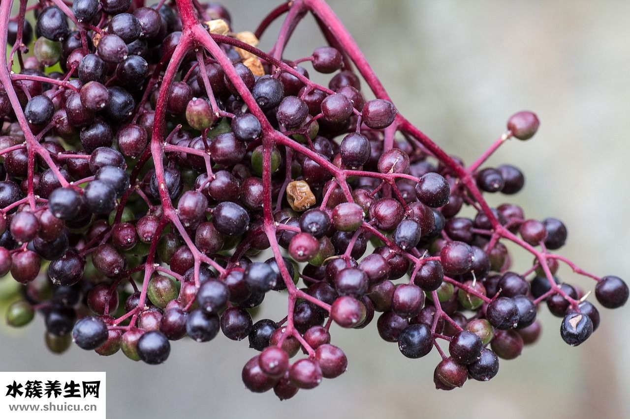 地榴怎么腌好吃