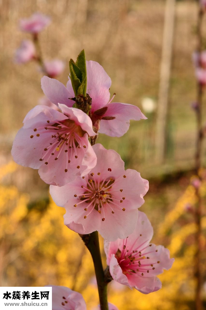 孩子總出汗怎么回事