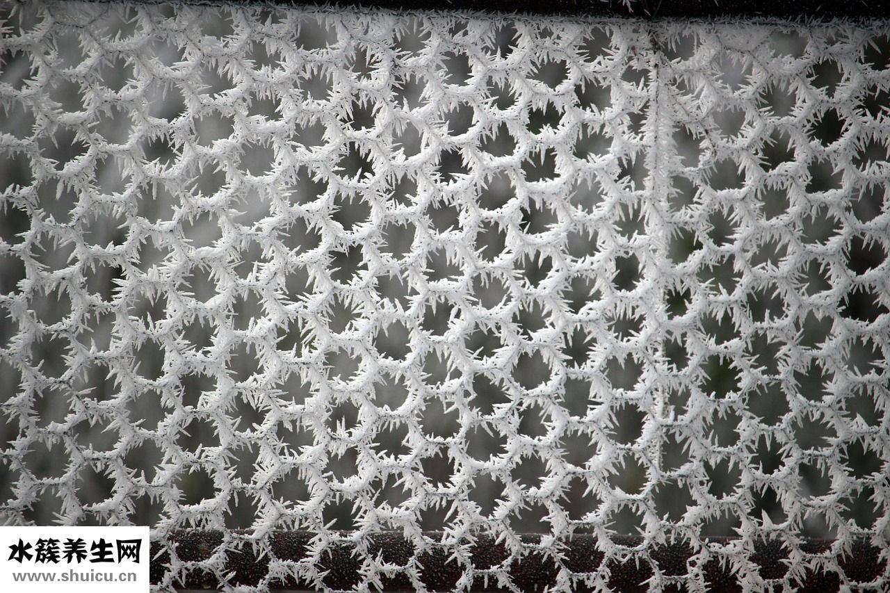 雙腎尿鹽結晶怎么辦