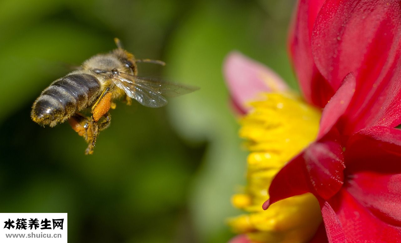 滿百包郵怎么設置