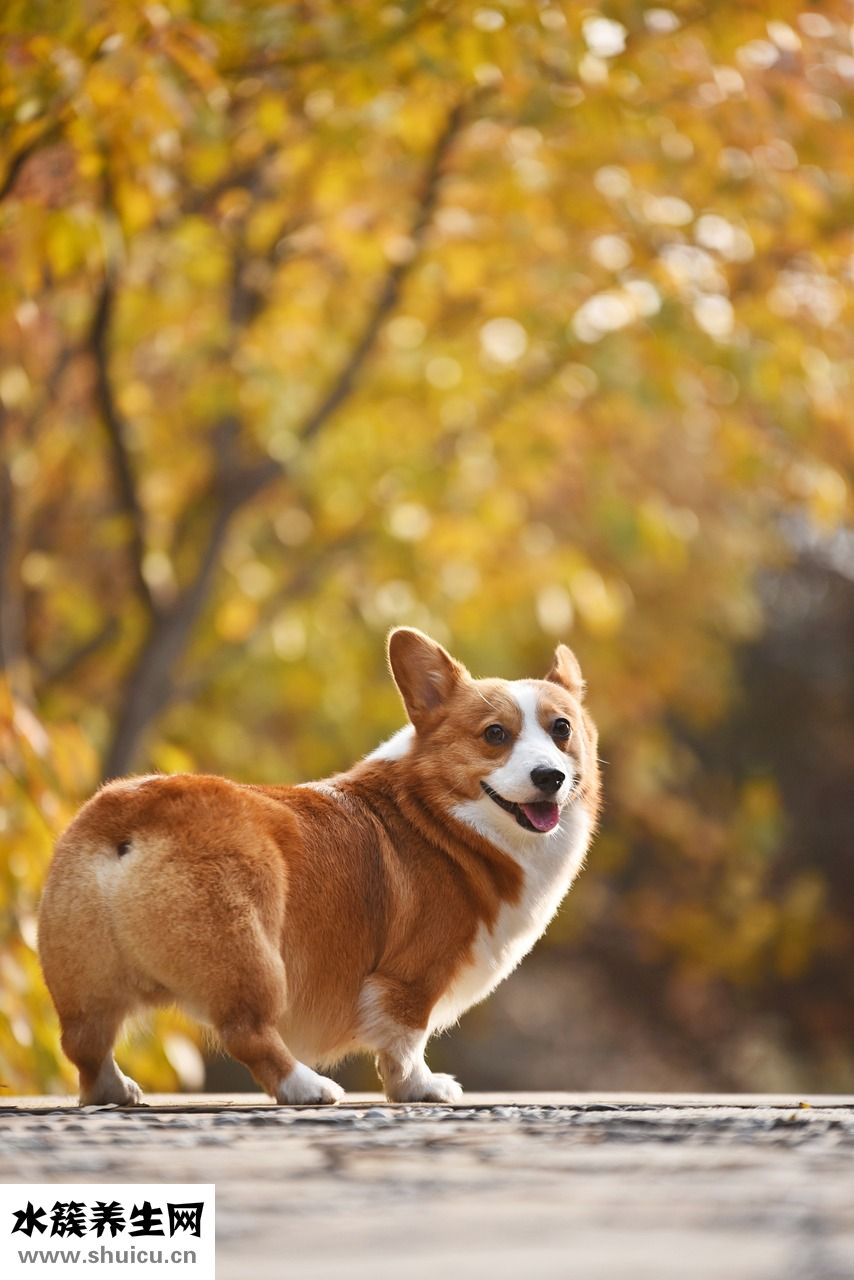 今日看點怎么卸載