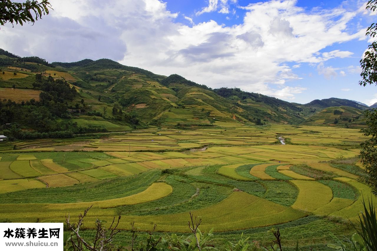 怎么確定房子的朝向