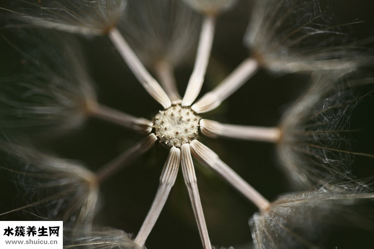 雙眼皮膠水怎么洗掉