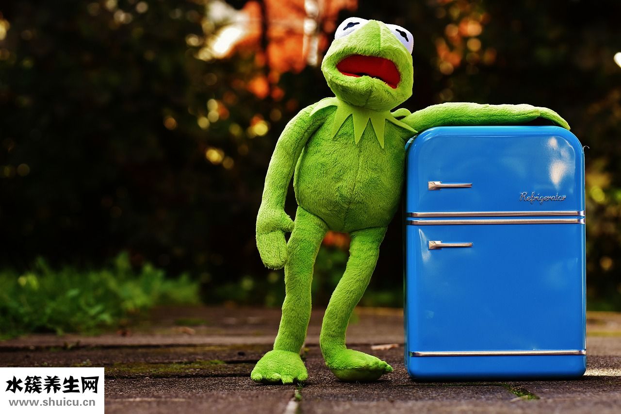 干炒生蠶豆怎么做