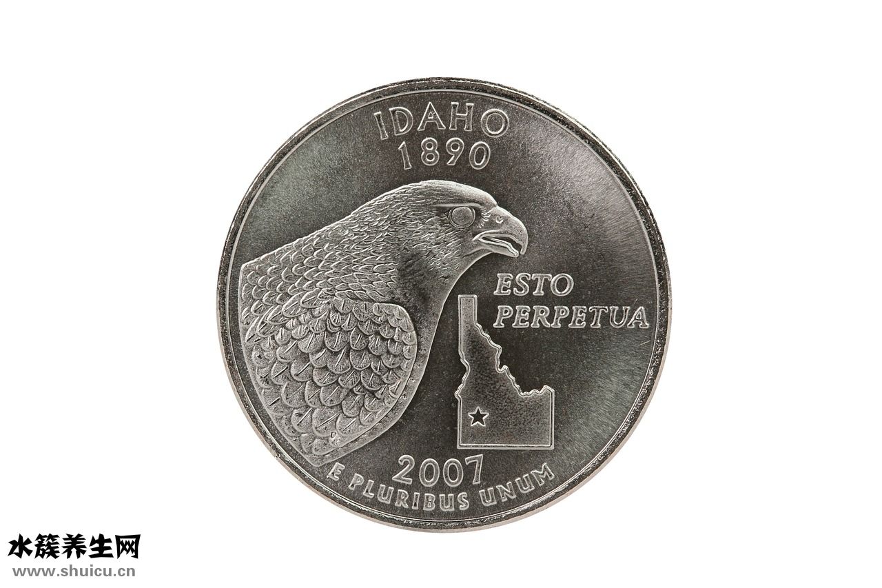 銅錢蘚怎么治療