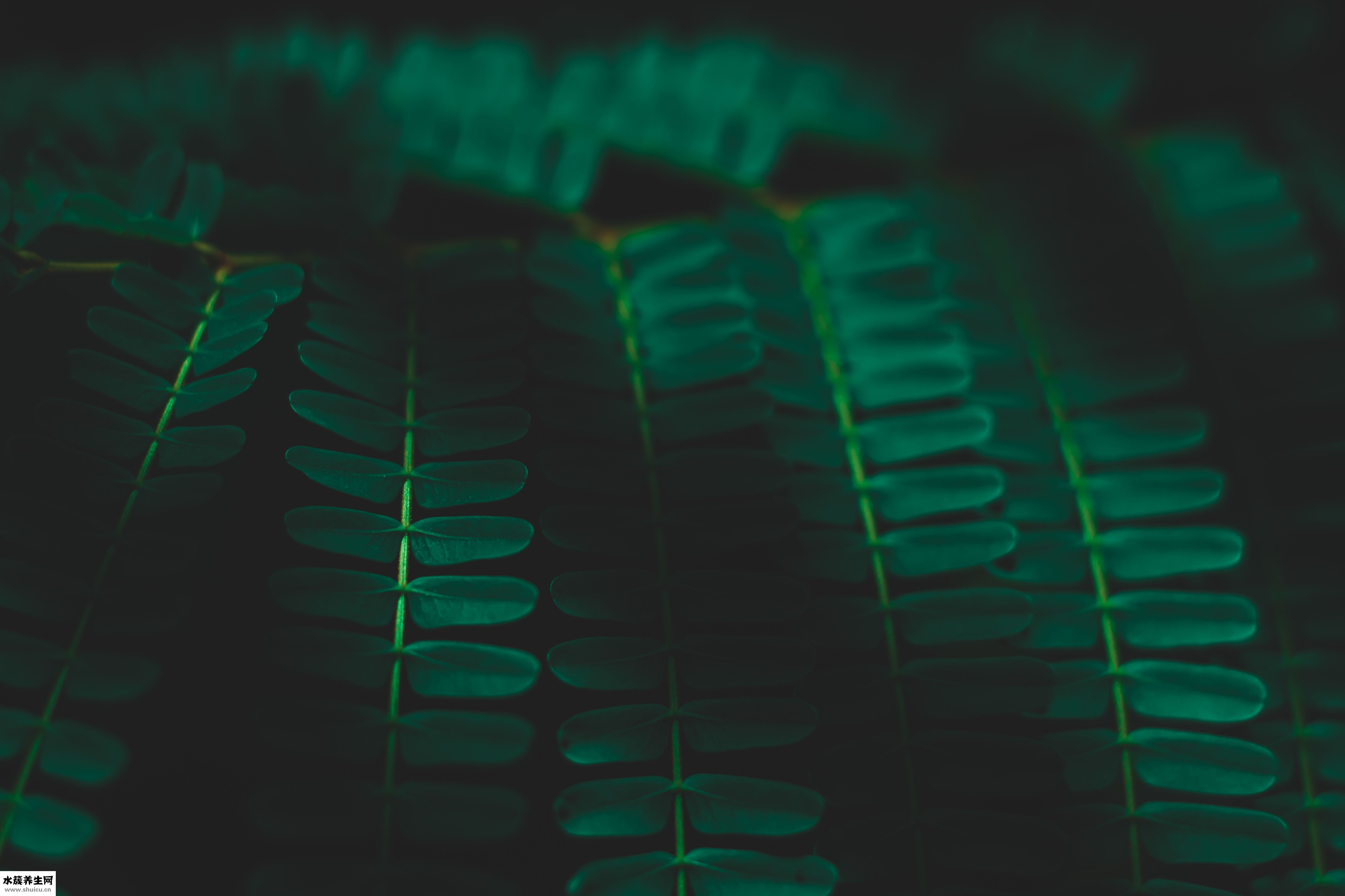 怎么讓陰道緊致