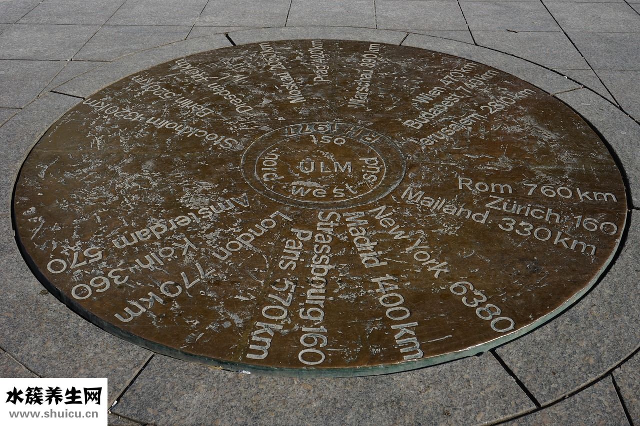 銅錢蘚怎么治療