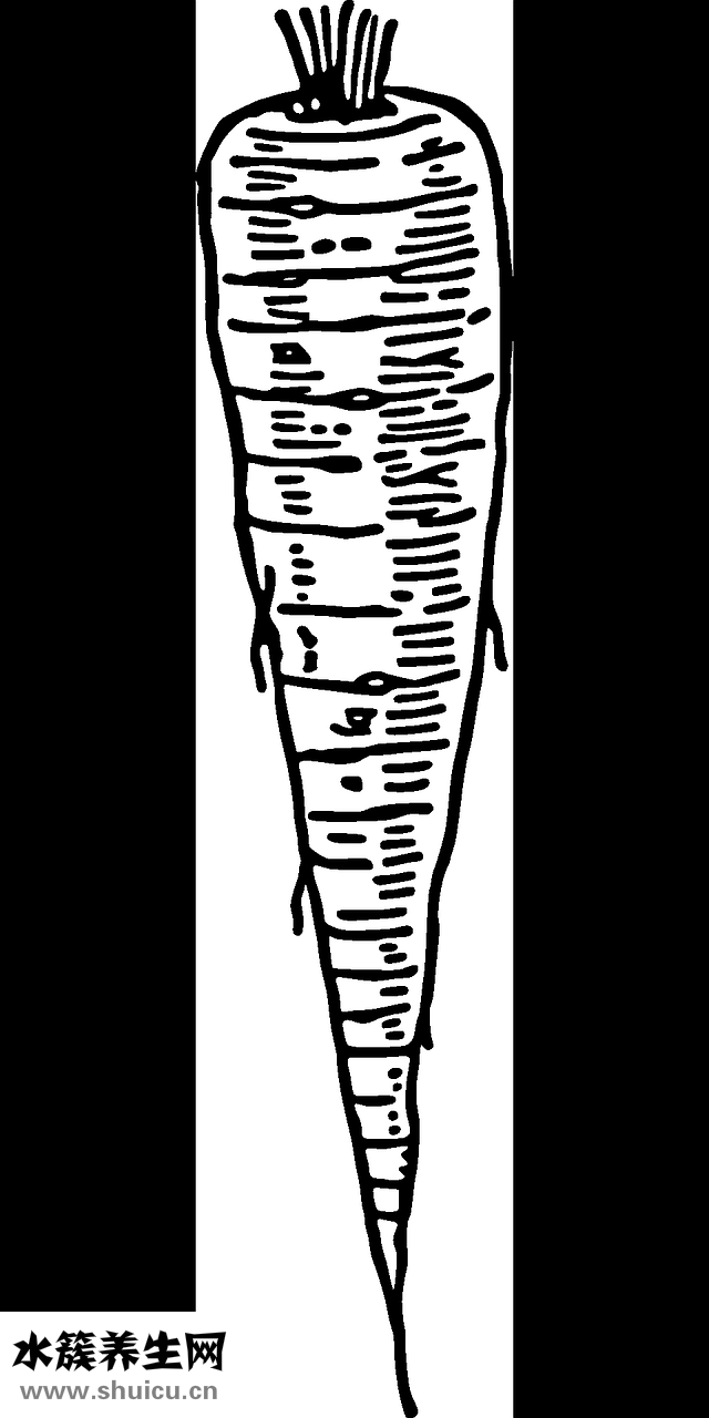 小雞腿瘸了怎么辦