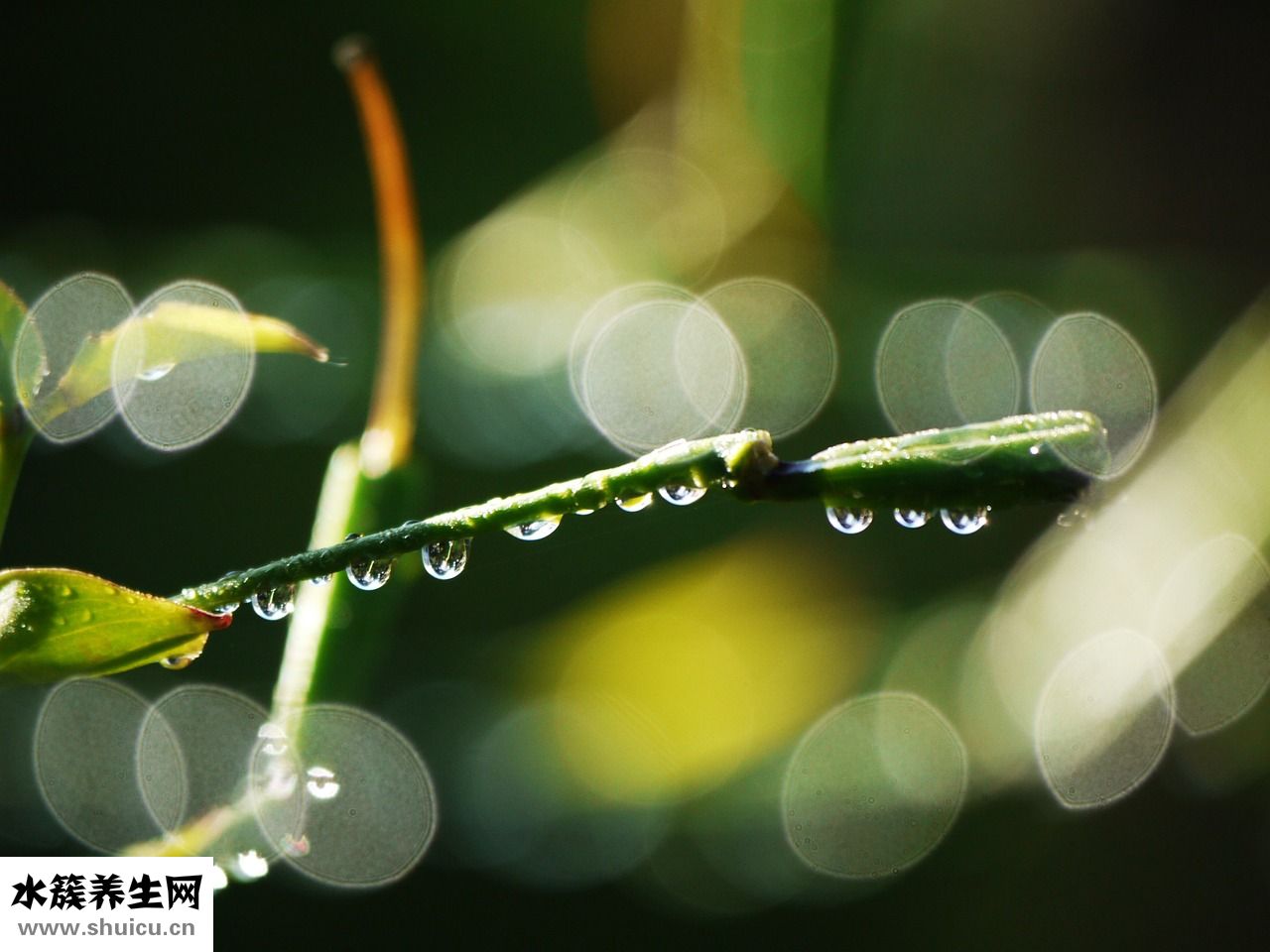 頭冒涼風是怎么回事