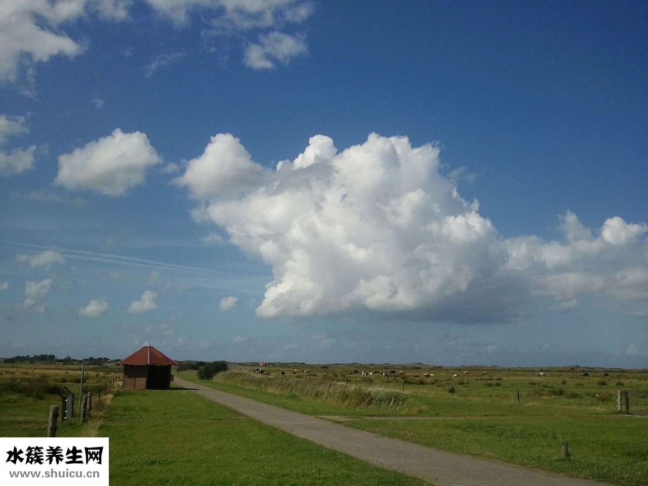 大牙中間發(fā)黑怎么辦