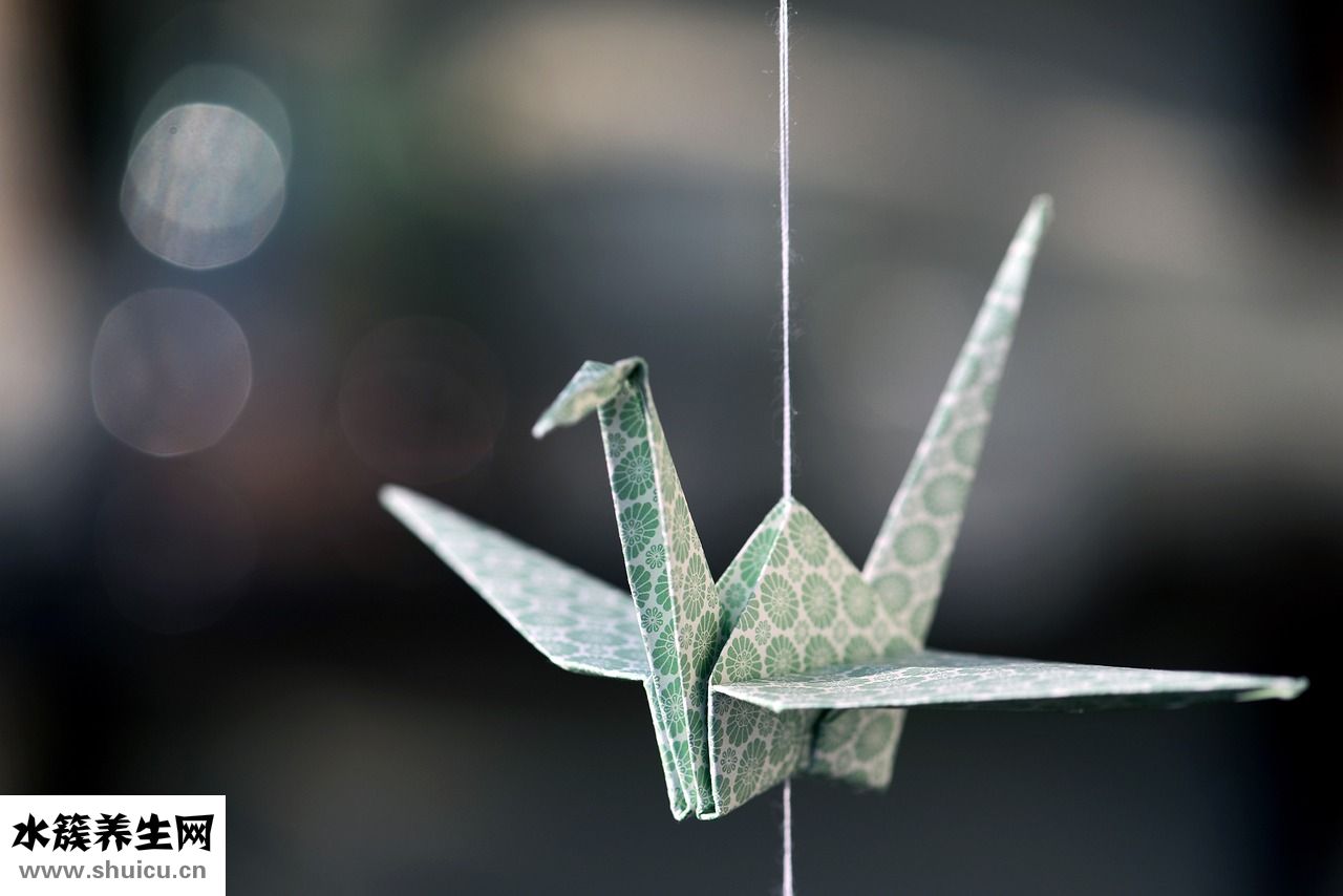 榨菜肉絲鹵怎么做