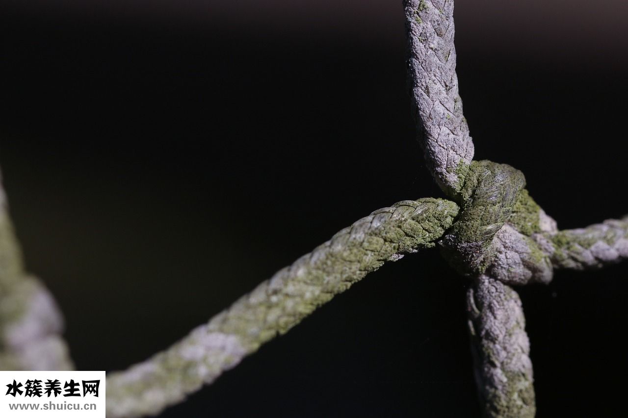 絞刑繩結怎么打