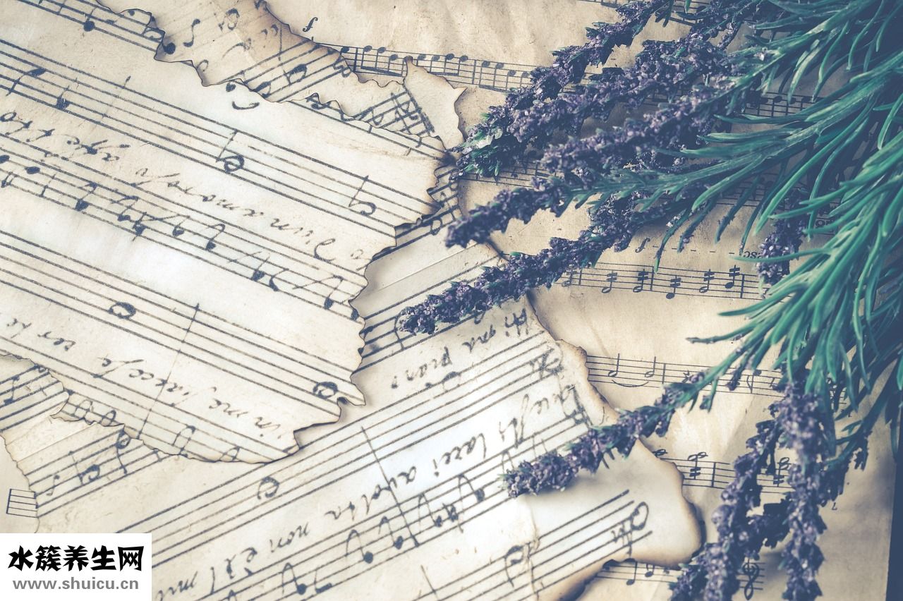 為繳傷悲怎么下載