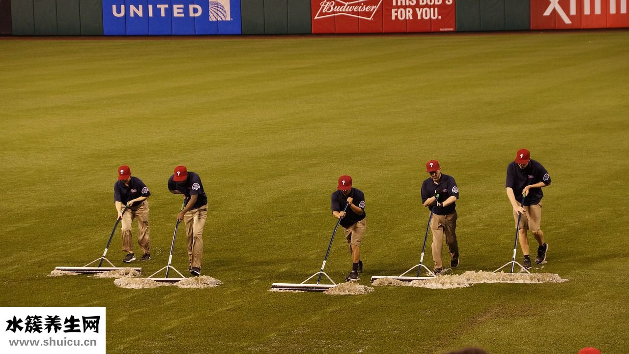 腦供血不足怎么鍛煉