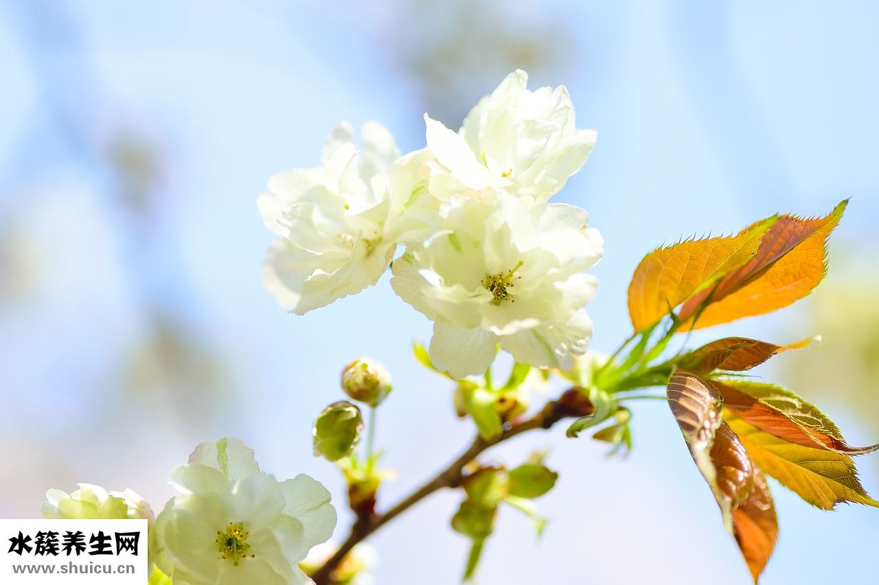 腳上的痣疣怎么回事