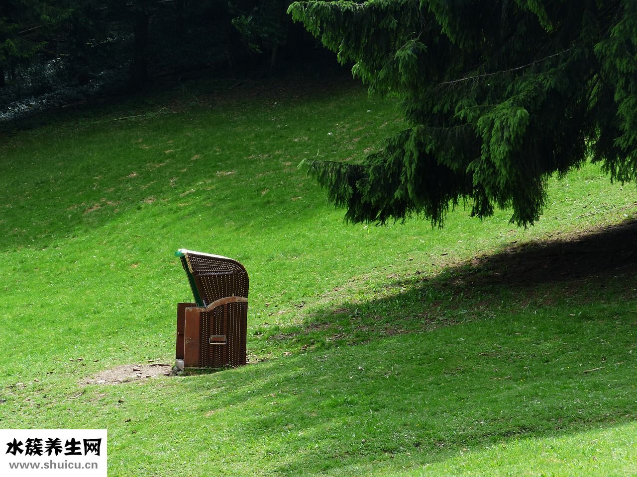 大牙中間發(fā)黑怎么辦