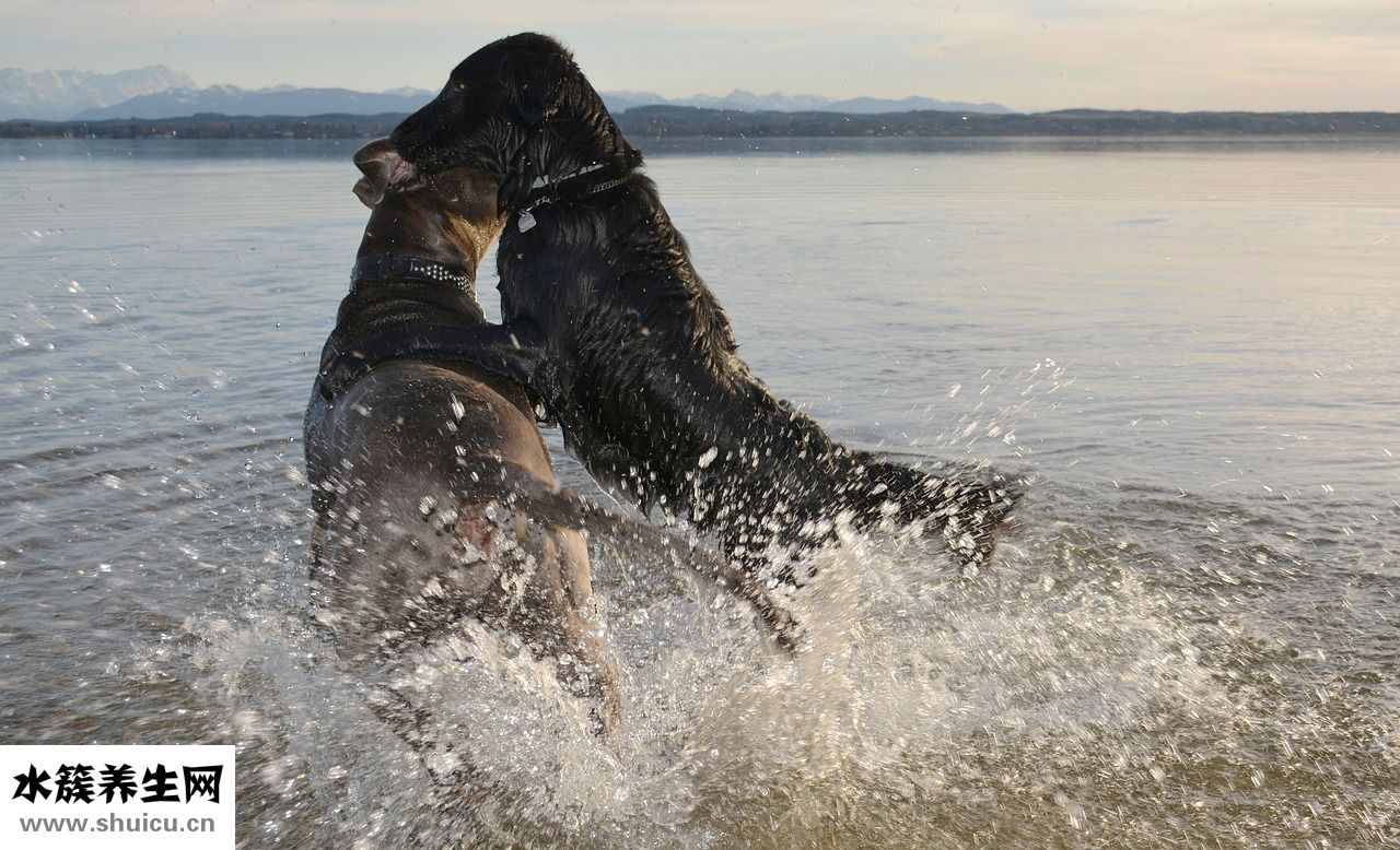 怎么與女友舌吻