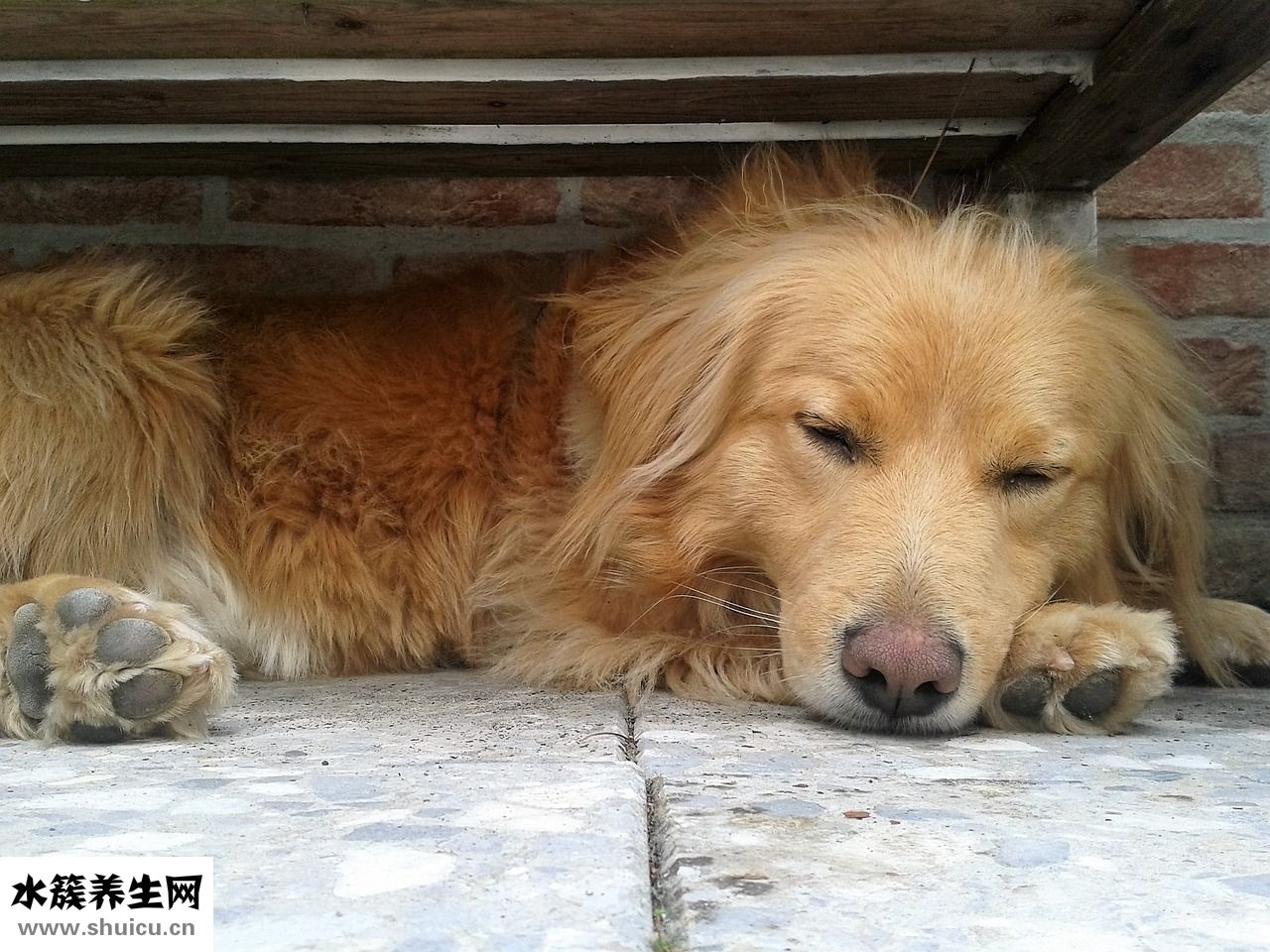 兩個人怎么接吻