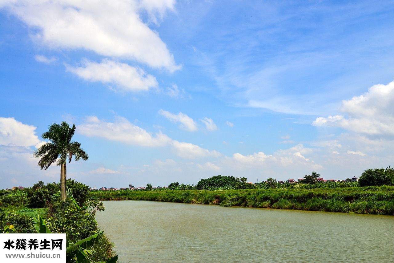 怎么按摩使眼睛變大