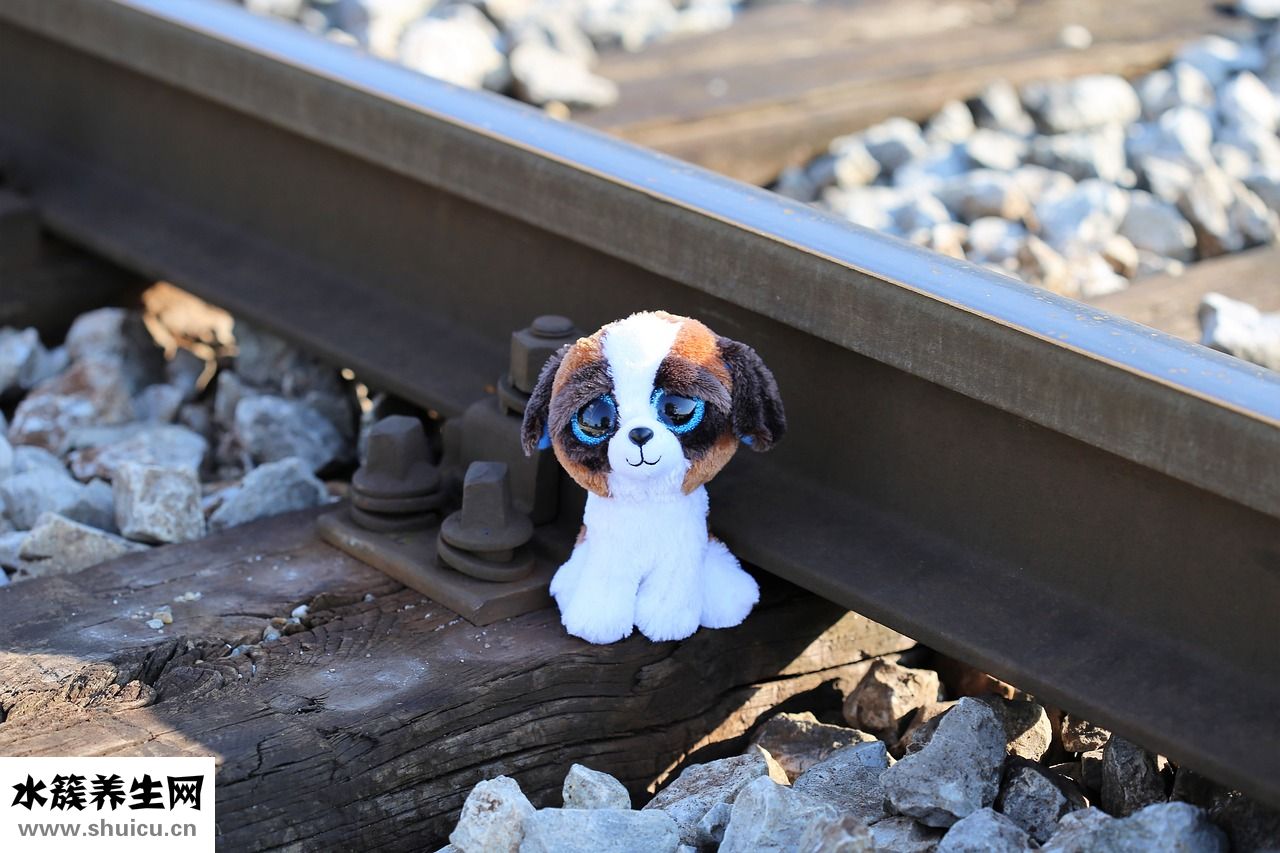 丁硼乳膏怎么用