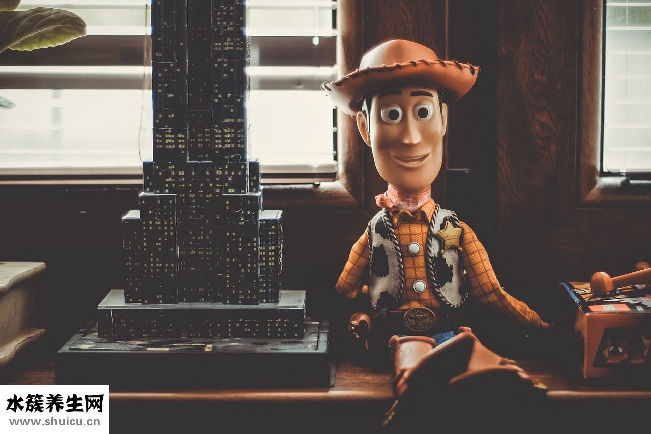 孕照總動員怎么用