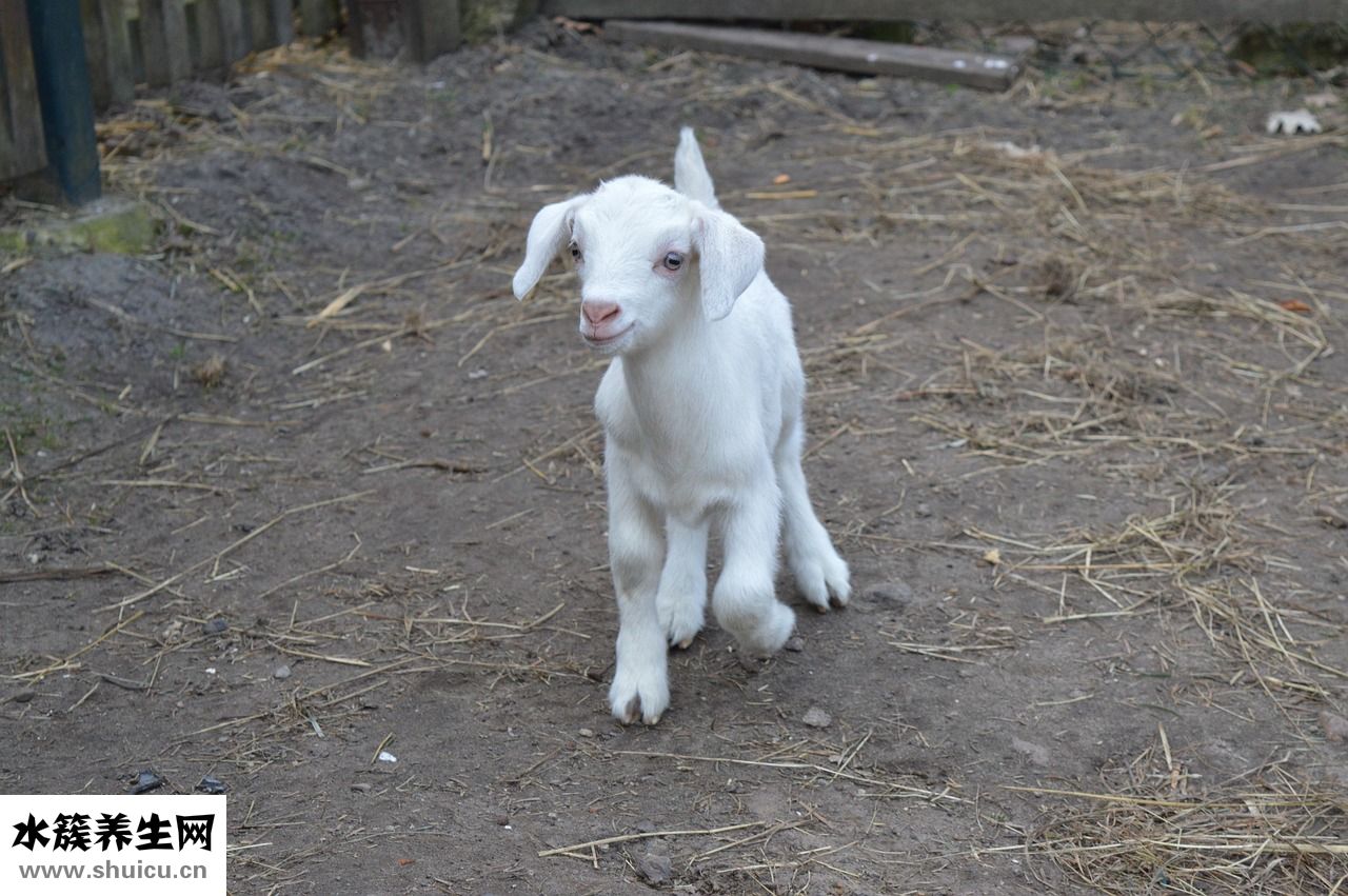 寶寶滿月怎么算