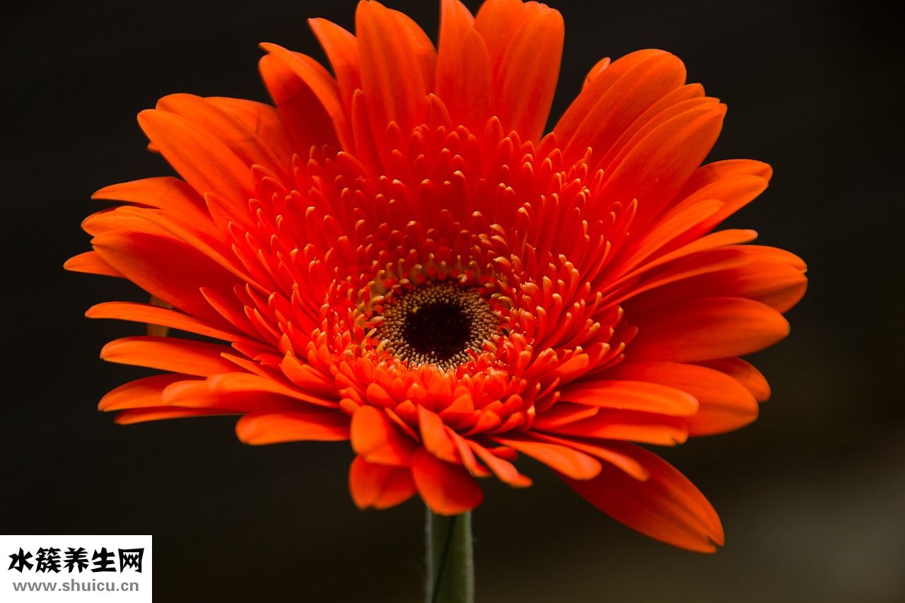 宮寒怎么檢查出來