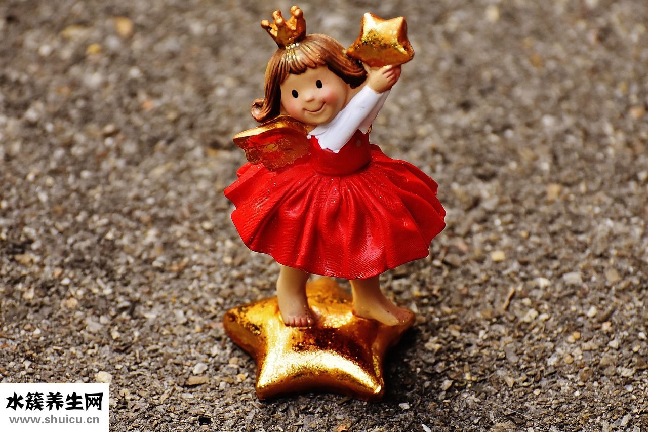 老版小紅衣怎么養