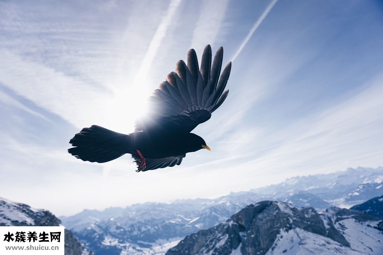 手有點痛怎么辦