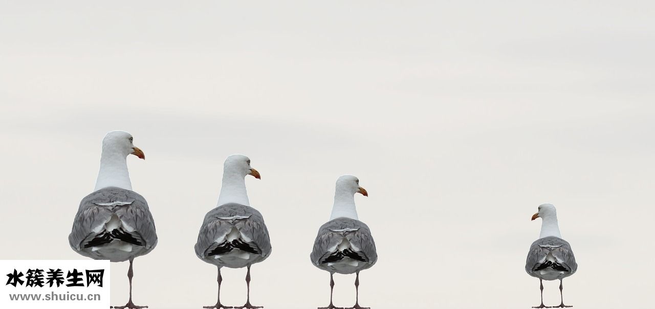 怎么讓女生有安全感