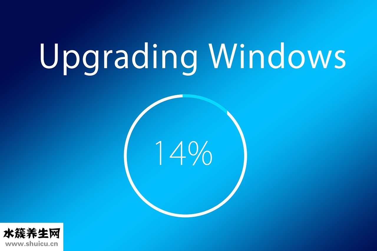 接吻魚不怎么動