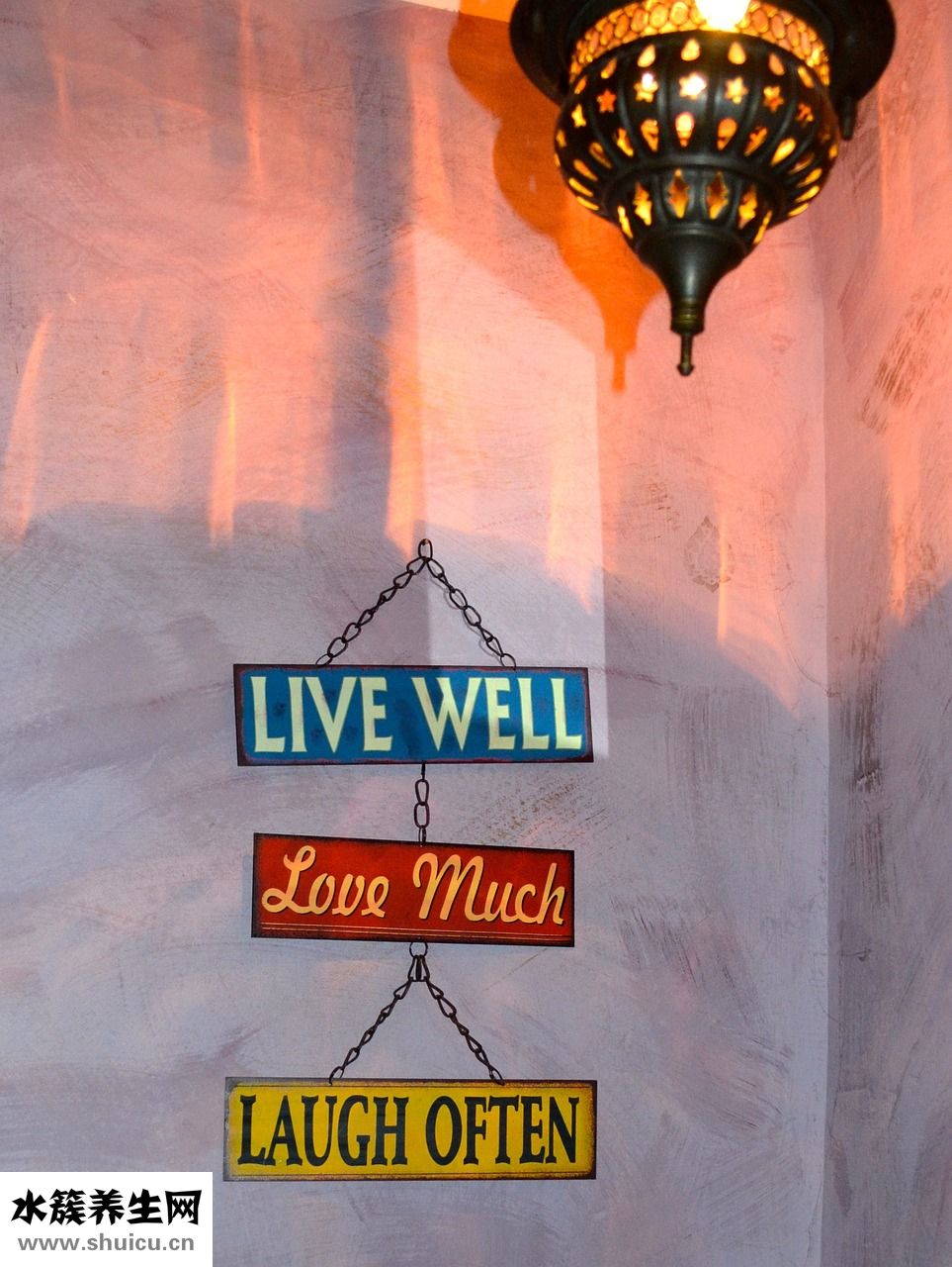 烤鰻魚片怎么吃