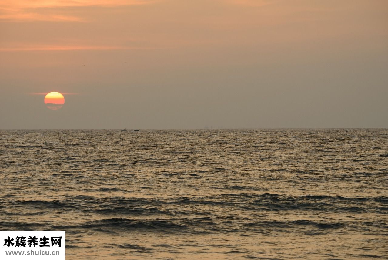 皮膚發黃怎么變白