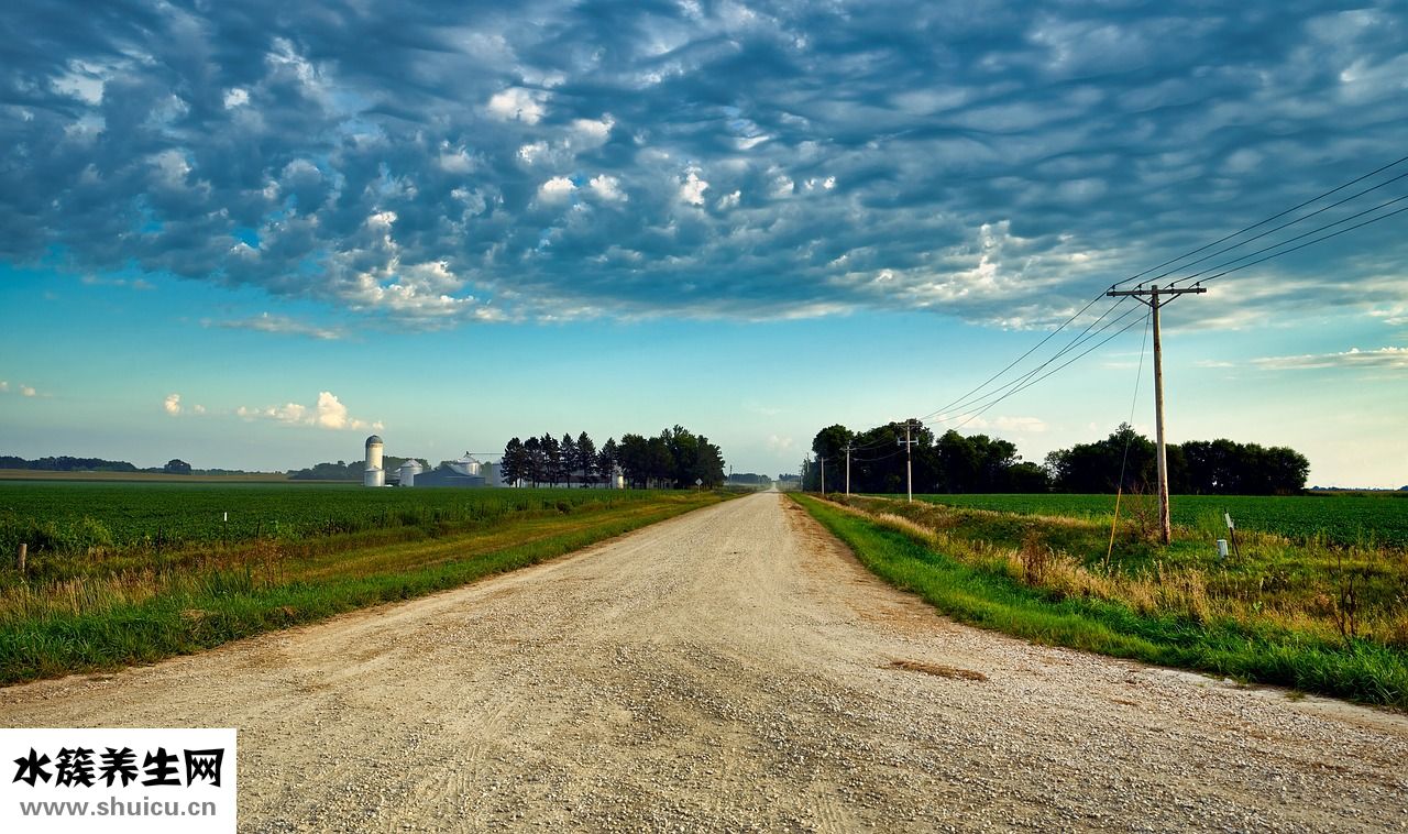 豆渣怎么炒好吃
